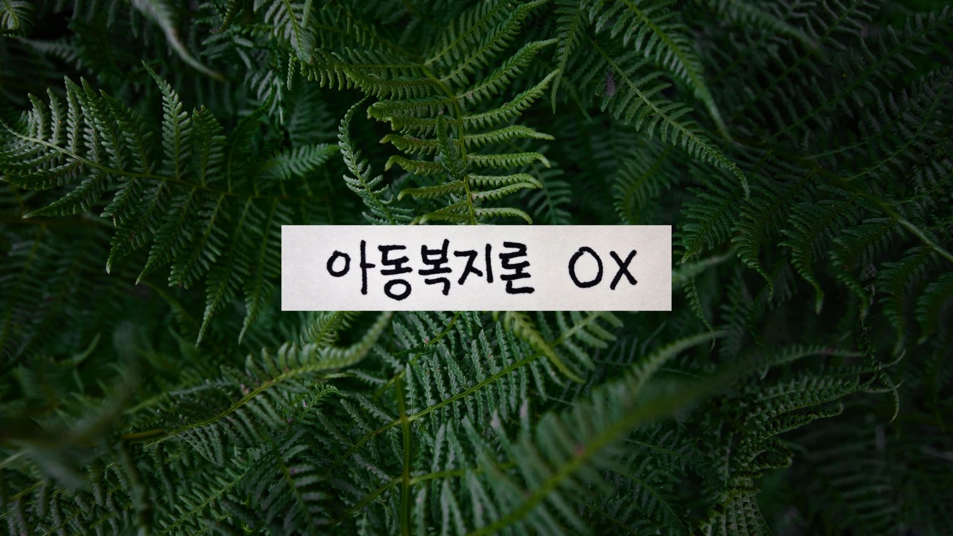 울창한 푸른 양치식물 잎 배경 위에 '아동복지론 OX'라는 글씨가 손글씨 스타일로 적힌 흰색 종이 상자 이미지