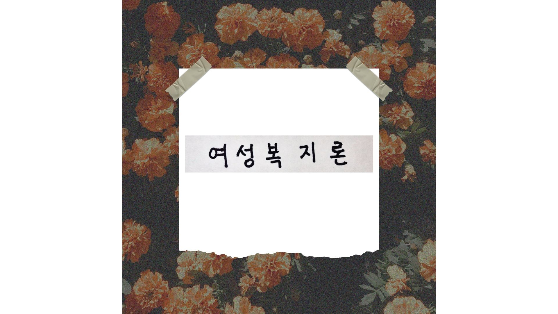 여성복지론 여성복지의 개념 이론 정책 OX 퀴즈 시험 대비 핵심 요약 총정리
