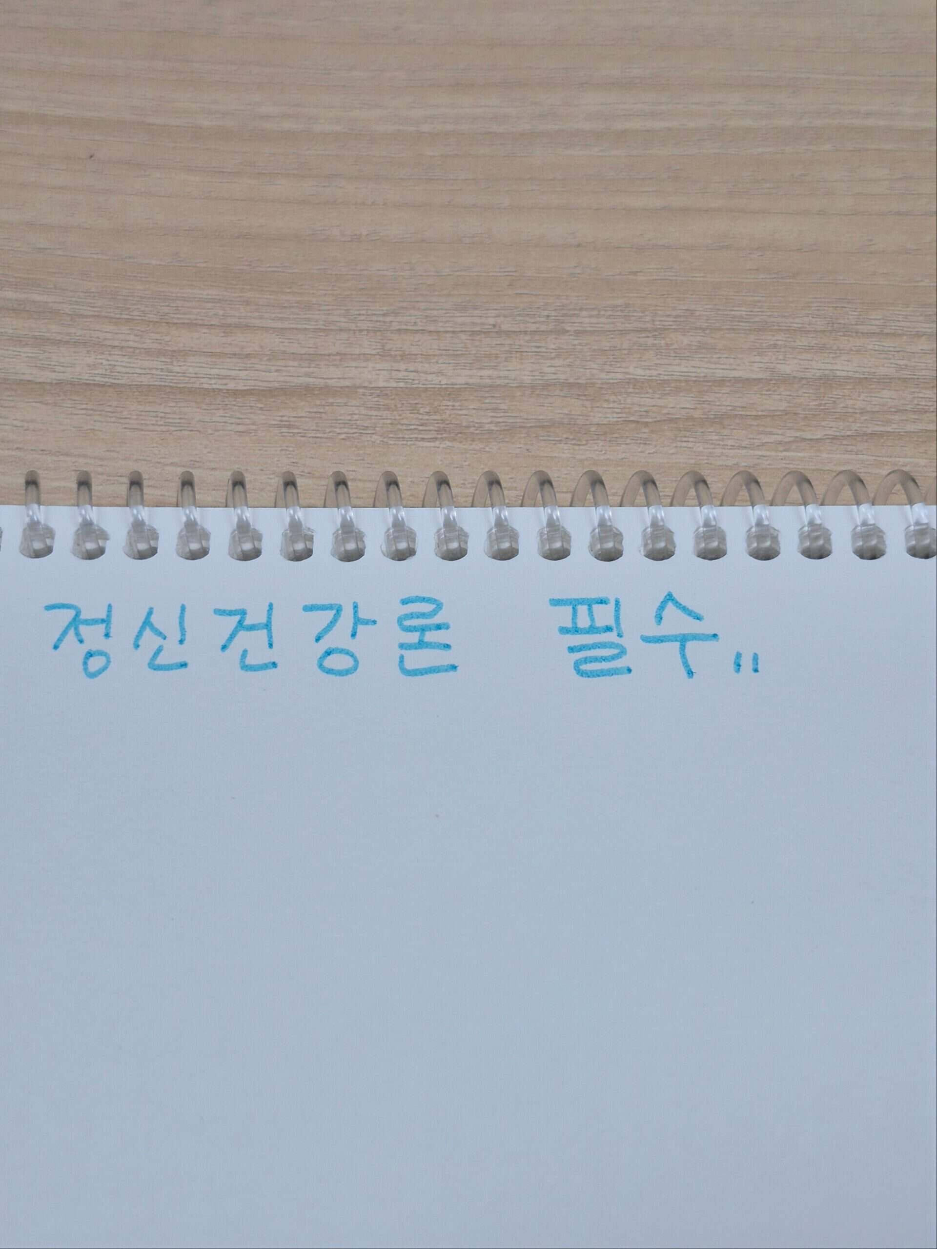 나무 책상 위 스프링 노트에 하늘색 펜으로 '정신건강론 필수..'라고 손글씨로 적힌 대표 이미지