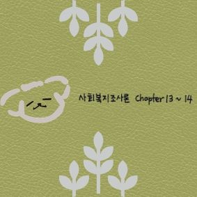 사회복지조사론 Chapter 13~14 질적연구방법과 조사보고 및 연구윤리 대표 이미지