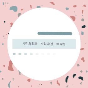 핑크색 테라조 패턴 배경 위에 하얀색 원형 프레임이 있고, 그 안에 한글로 '인간행동과 사회환경 제4장'이라고 쓰여 있는 사회복지학 교재 느낌의 대표 이미지